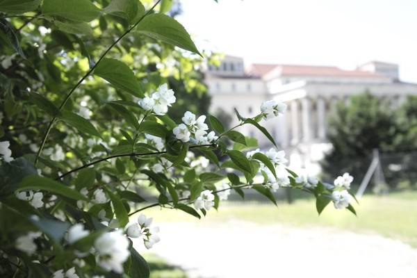 Blick aufs Schloss Esterházy