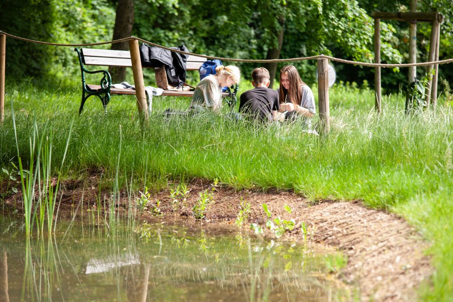 Herzerlteich Schlosspark Eisenstadt Schülerprojekt